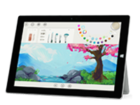 元阳Surface 无法开启、Windows 无法启动或电池无法充电